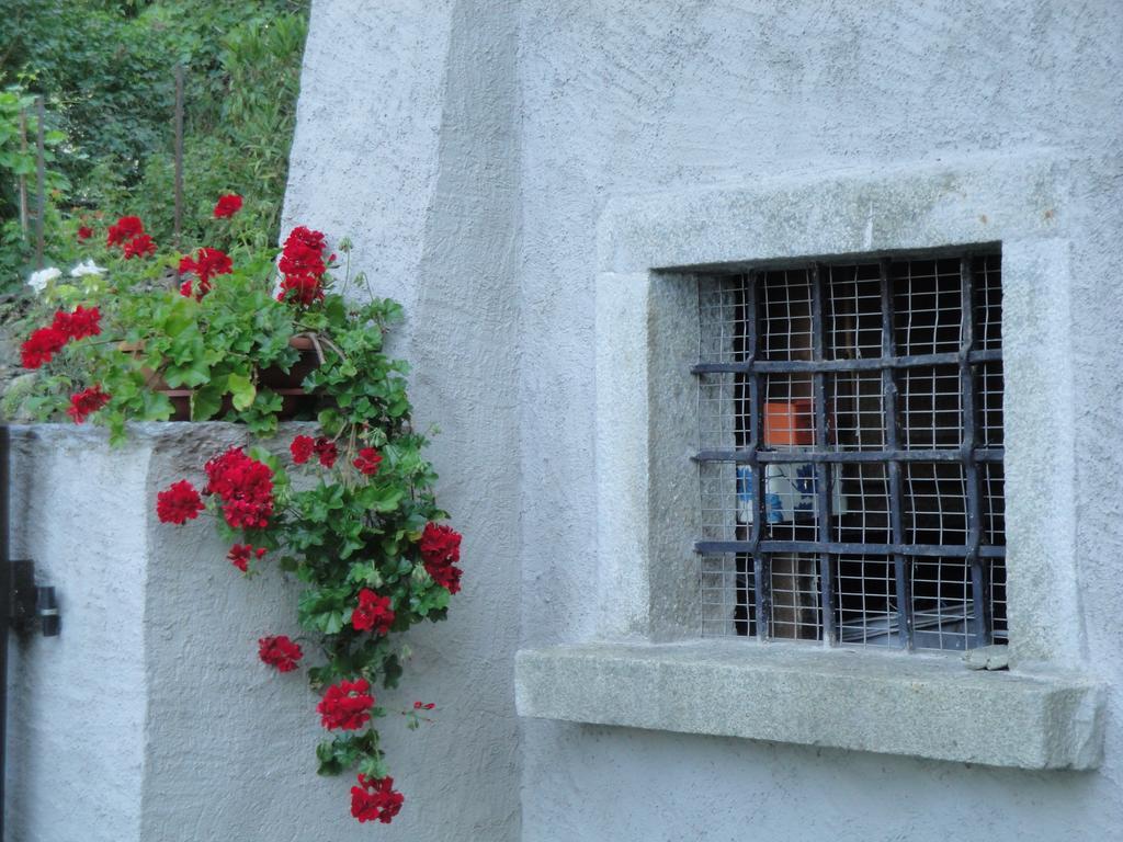 Osteria Del Centro Bed & Breakfast Brusio Bagian luar foto