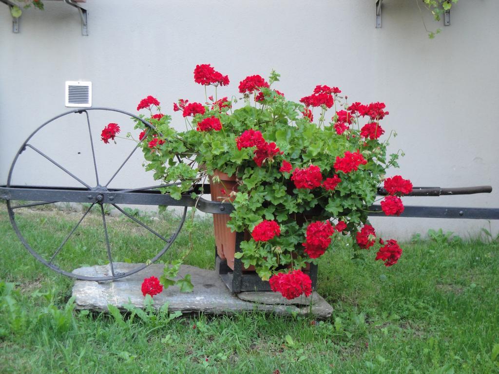 Osteria Del Centro Bed & Breakfast Brusio Bagian luar foto